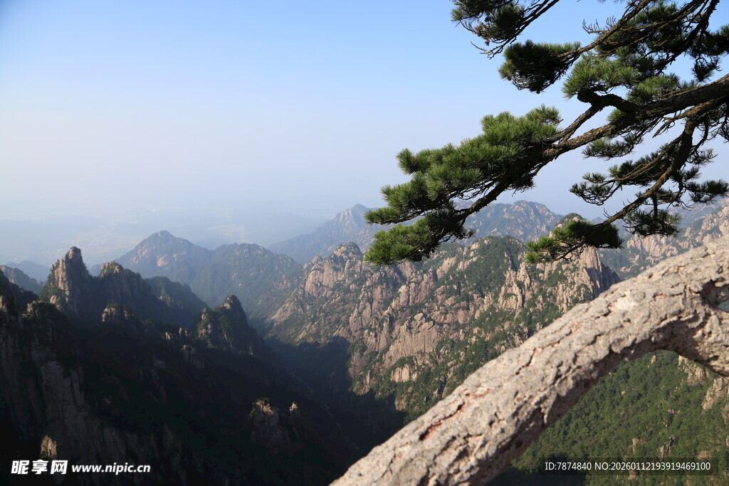 黄山奇峰与苍松景观