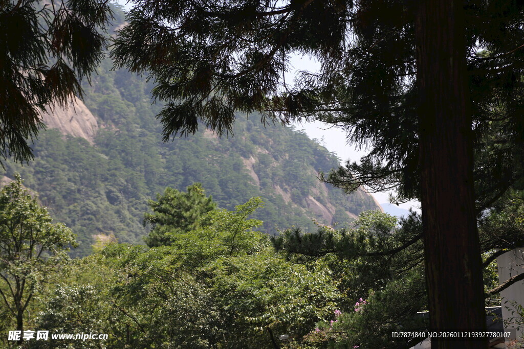 山林葱郁间的秀丽景致