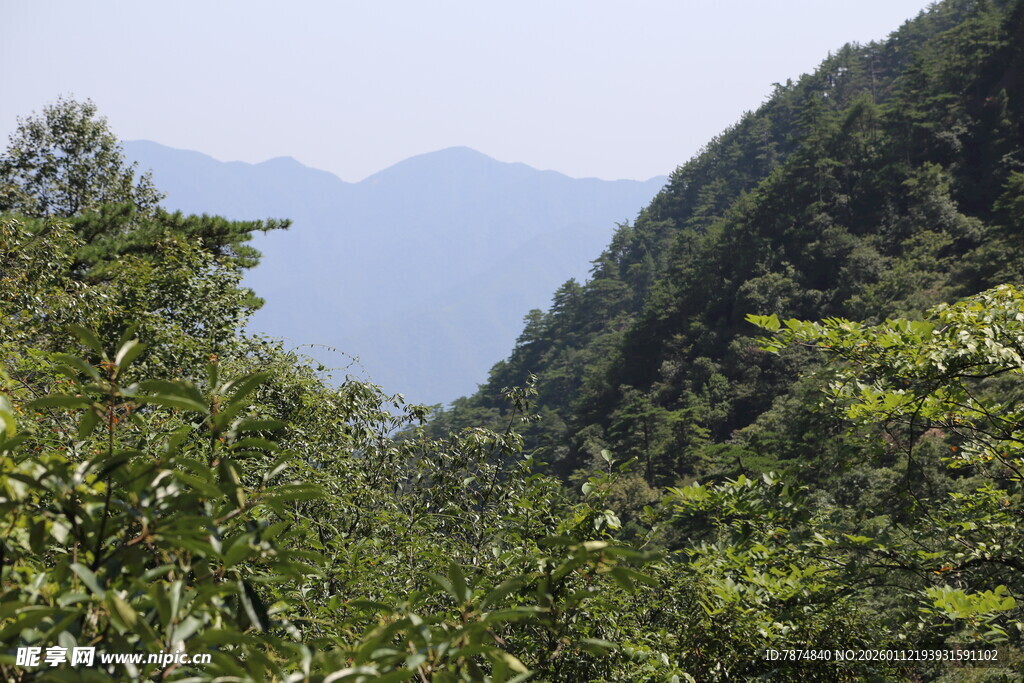 山间绿意盎然的自然景致