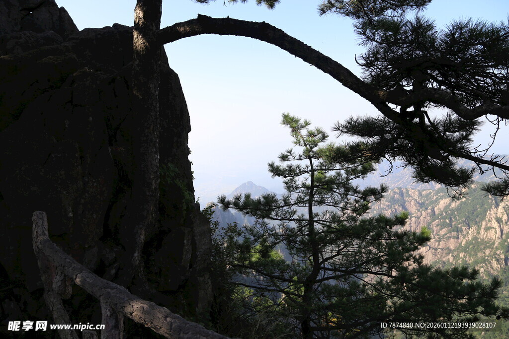 山间松景 峭壁旁的自然美
