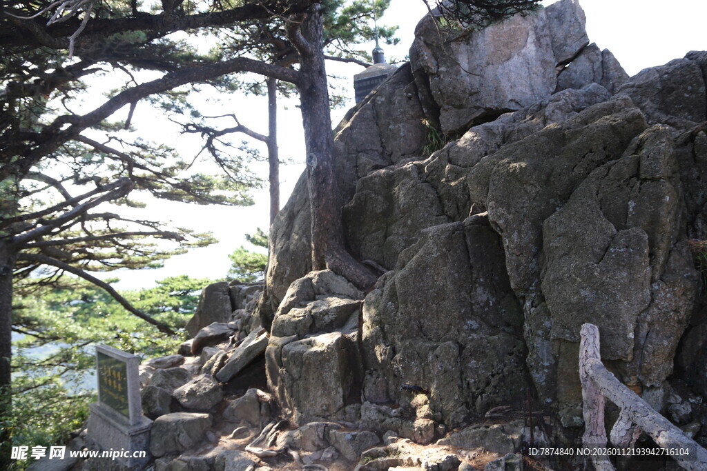 山间嶙峋岩石与树木景观