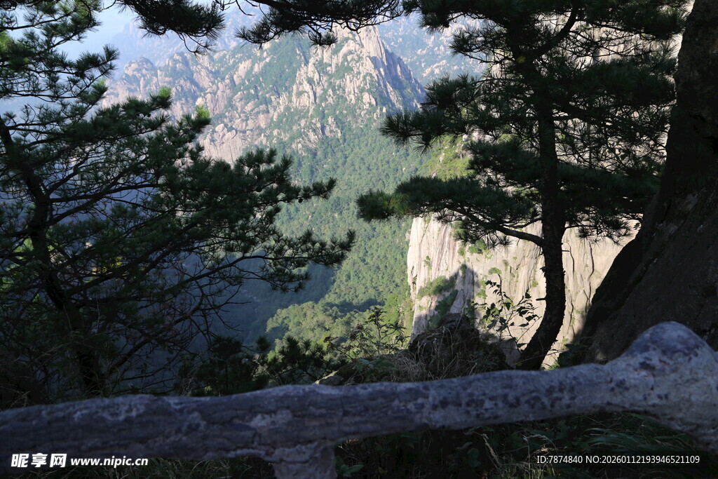 山间松景 远眺壮丽山峦
