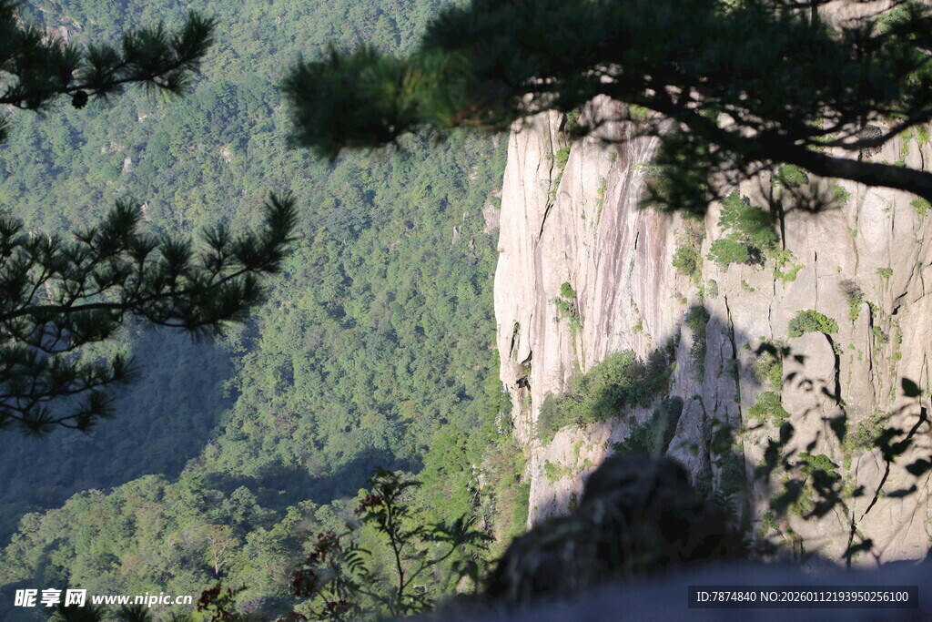 峻峭山峰与葱郁林木景观