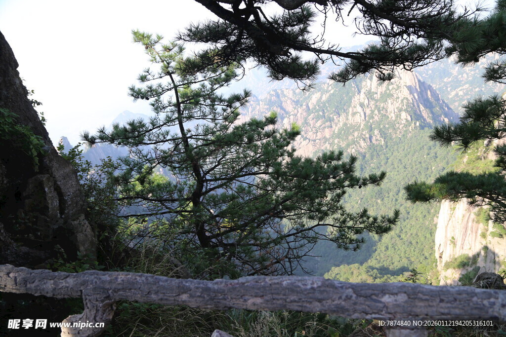 山间松景 远眺秀丽山峦