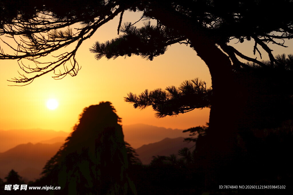 夕阳下的苍松与远山