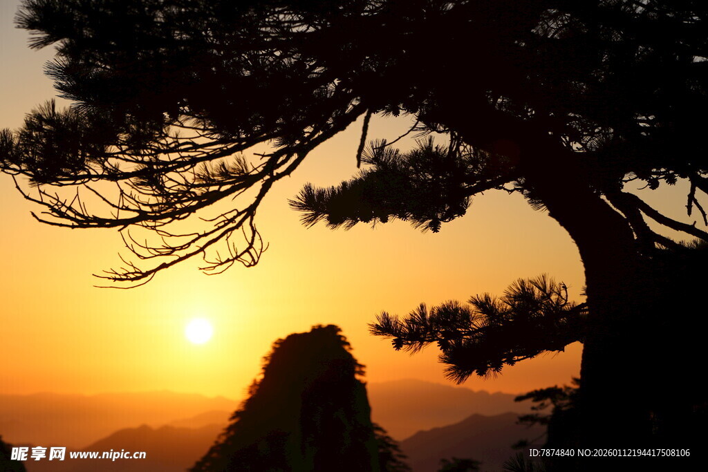 夕阳下的苍松与远山