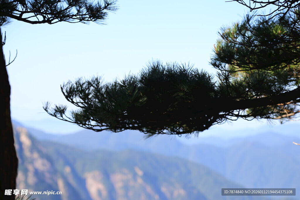 黄山松景 远山朦胧