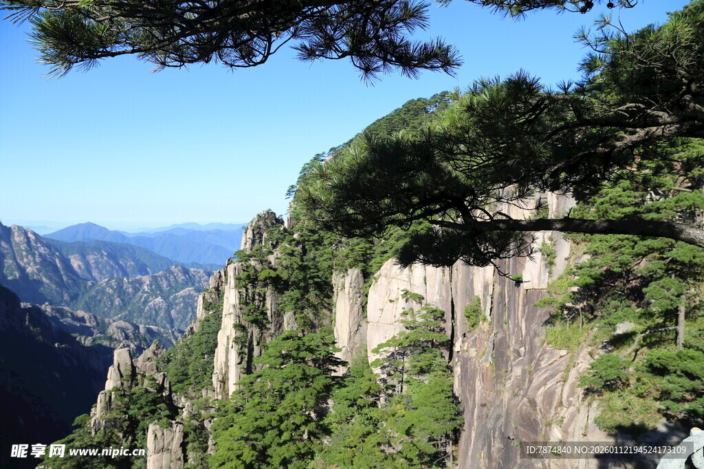 黄山奇峰绿意盎然景观