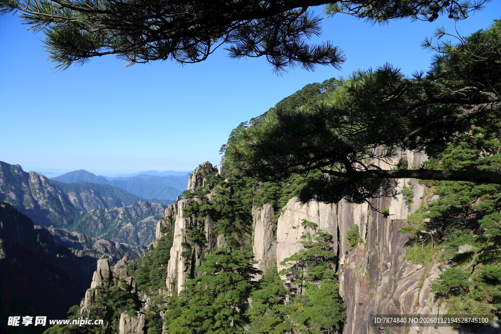 壮丽山景展现绝壁奇松