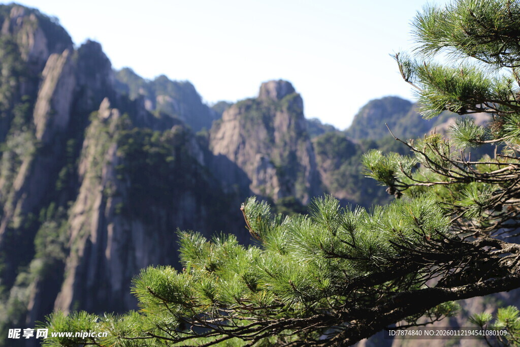 巍峨山峰与翠绿松树