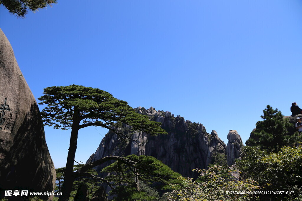 黄山奇峰劲松美景