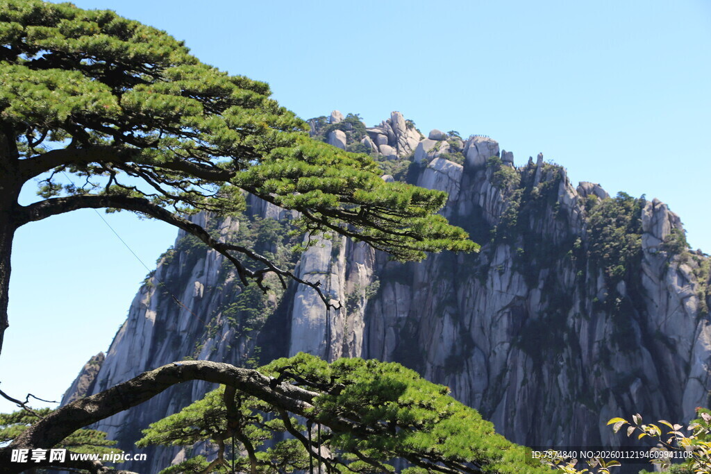 黄山奇峰与苍松景观