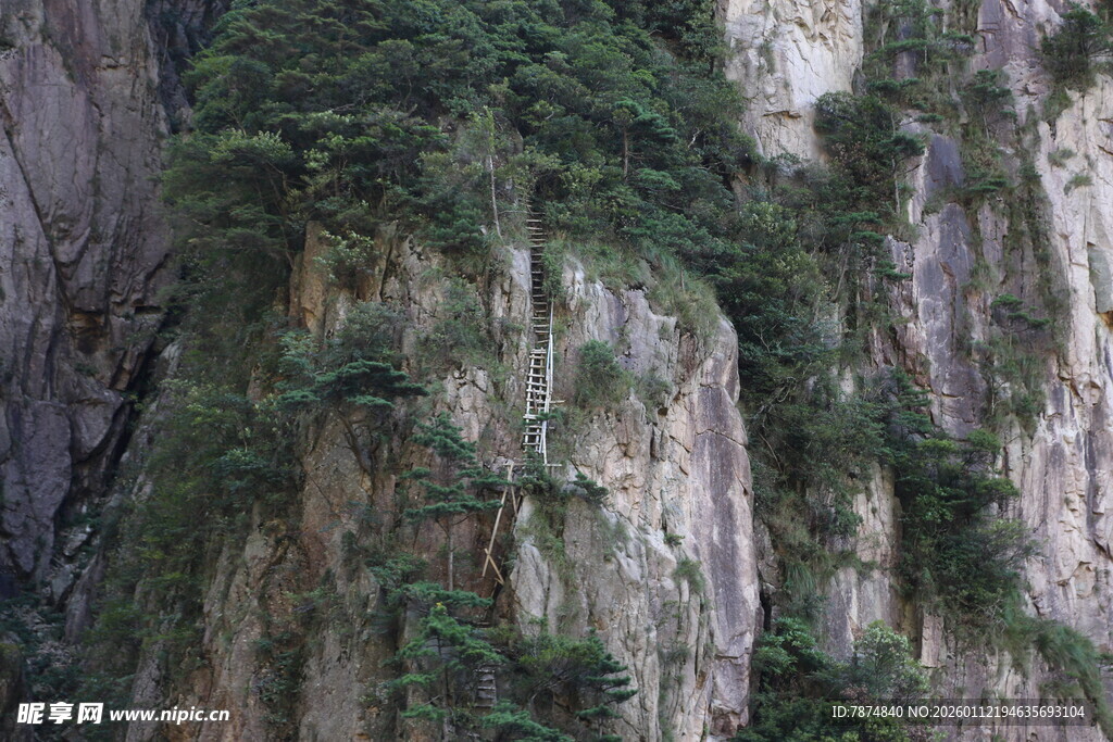 陡峭山峰上的茂密植被