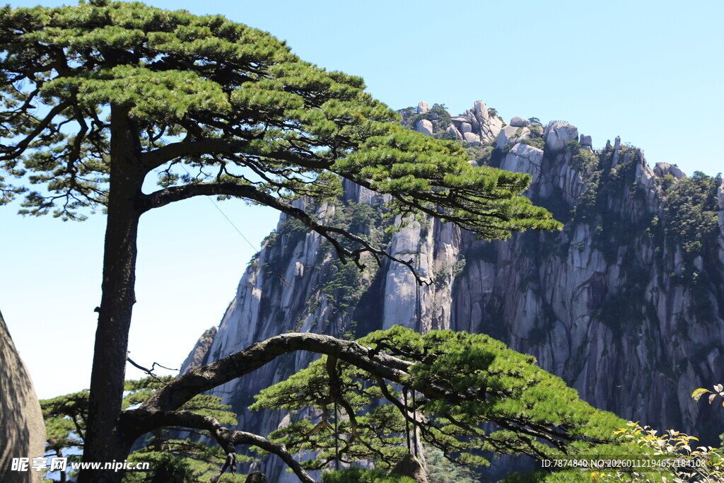 黄山迎客松与壮丽山峦