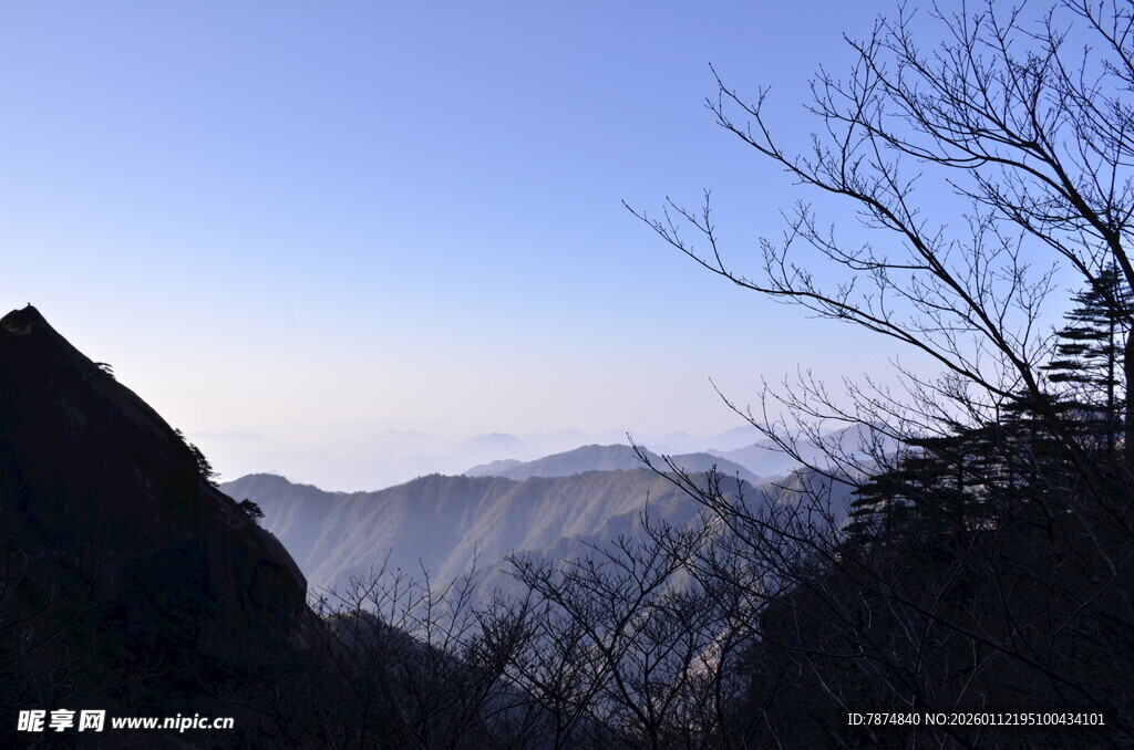 山巅枯树与辽阔远景