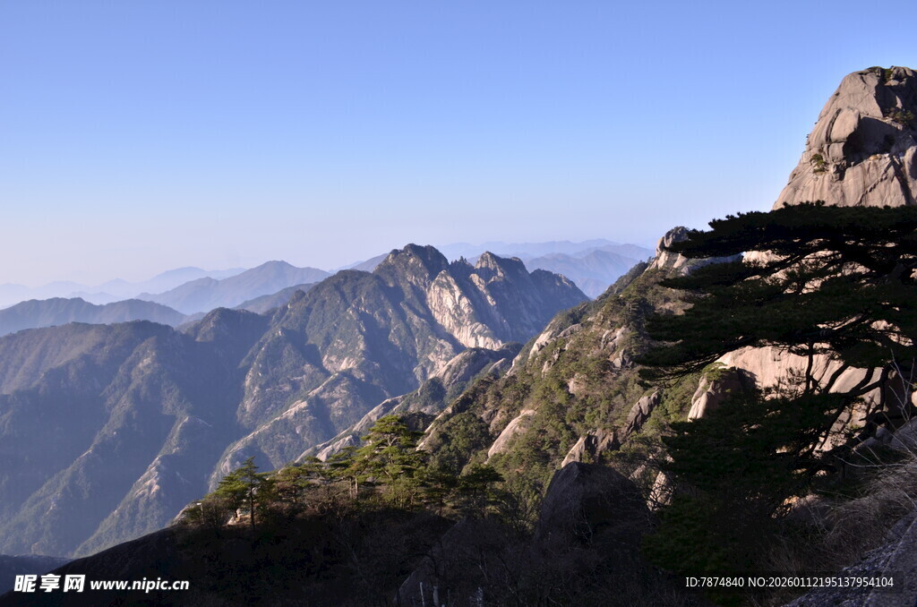 巍峨山峰上的挺拔松树