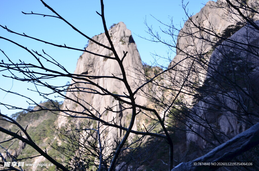 巍峨山峰与光秃树枝景观