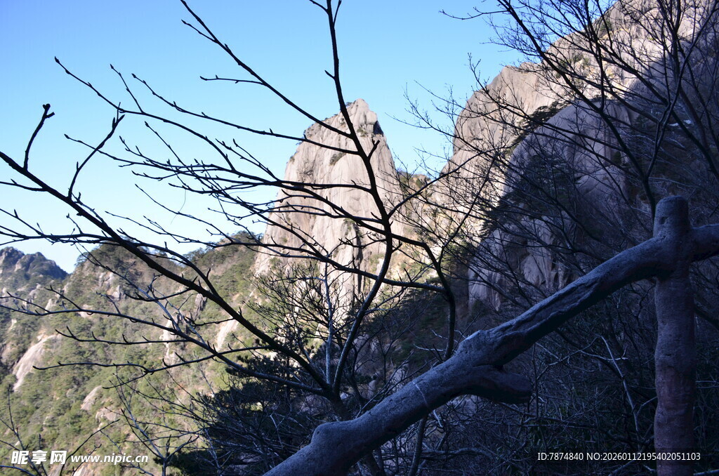 山间树枝与远处山峦