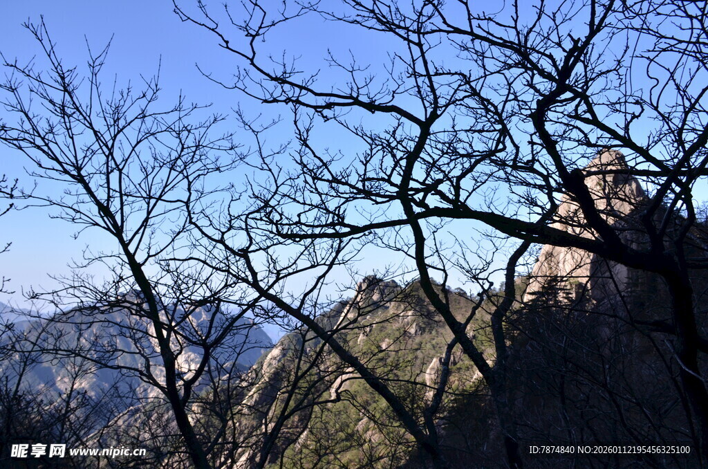 山间树枝与远处山峦景色