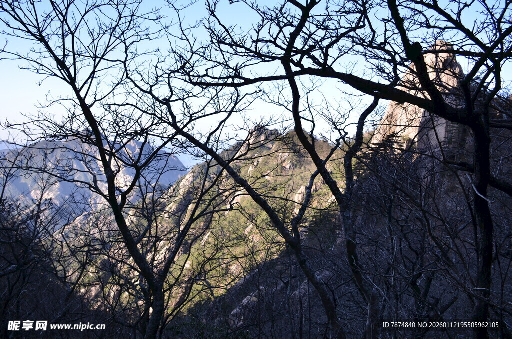 山林间的冬日景致