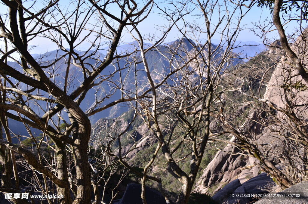 山间枯树与远处山峦景色