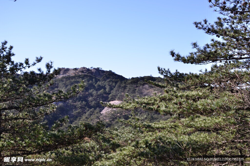 山林间的秀丽景致