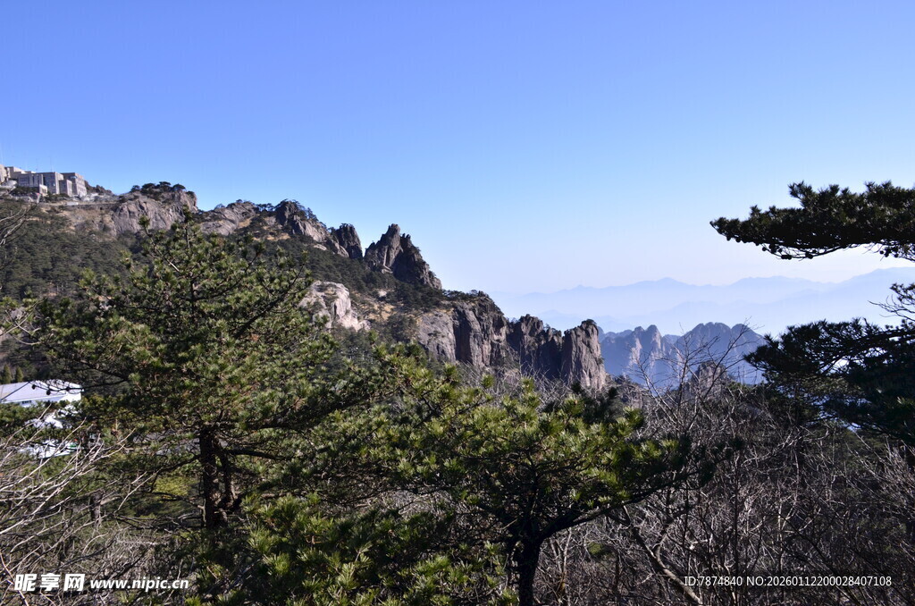 黄山秀丽山景与苍松