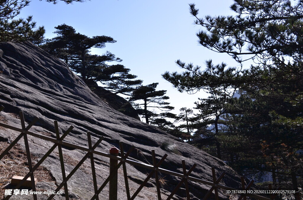 山间栈道旁的苍松与岩石