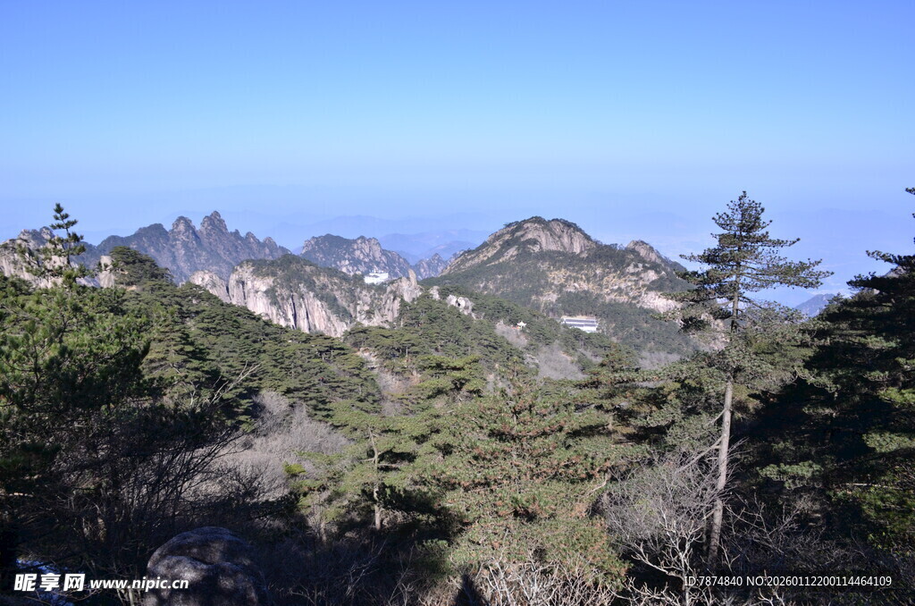山峦松林间的壮阔景致