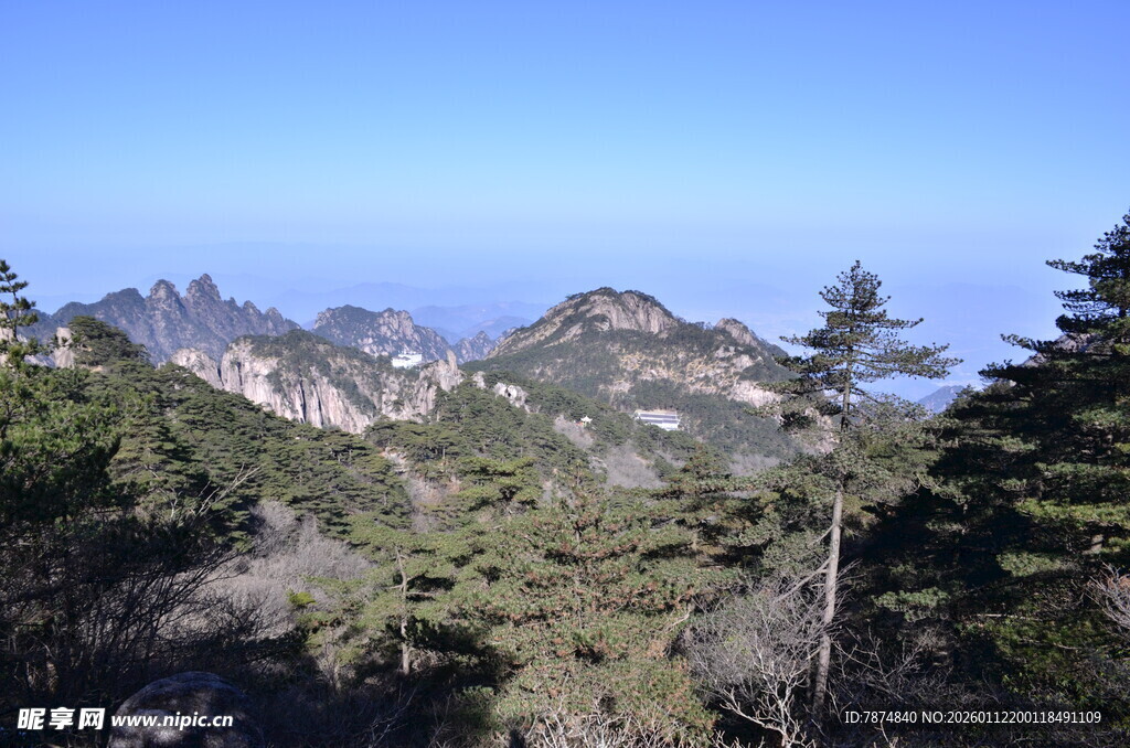 壮丽山景 葱郁山林