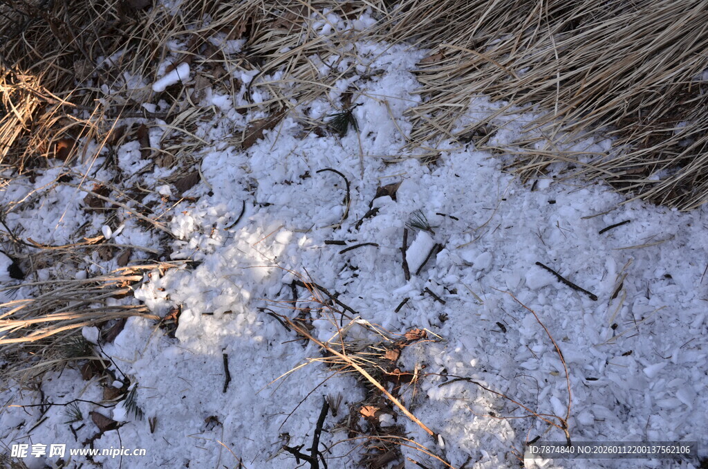地面残雪与枯草景象