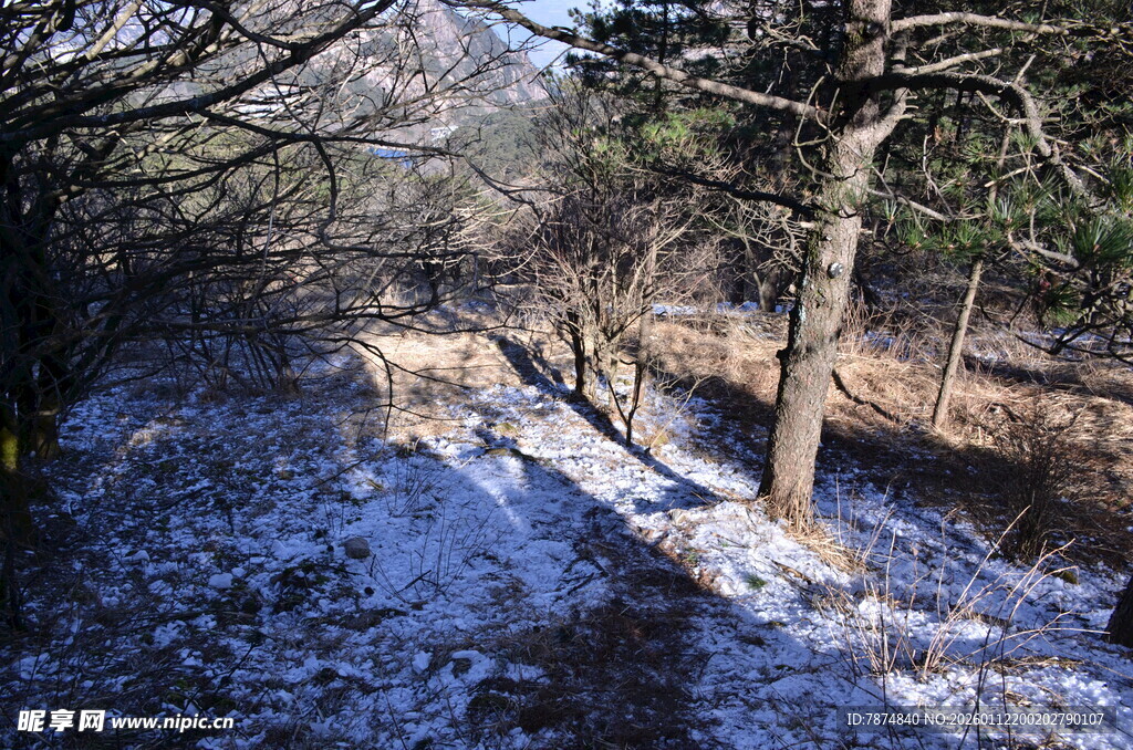 冬日林间覆雪小径