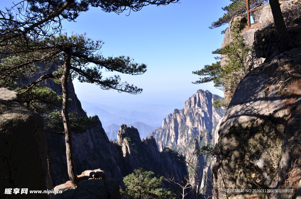 黄山奇峰苍松壮美景观