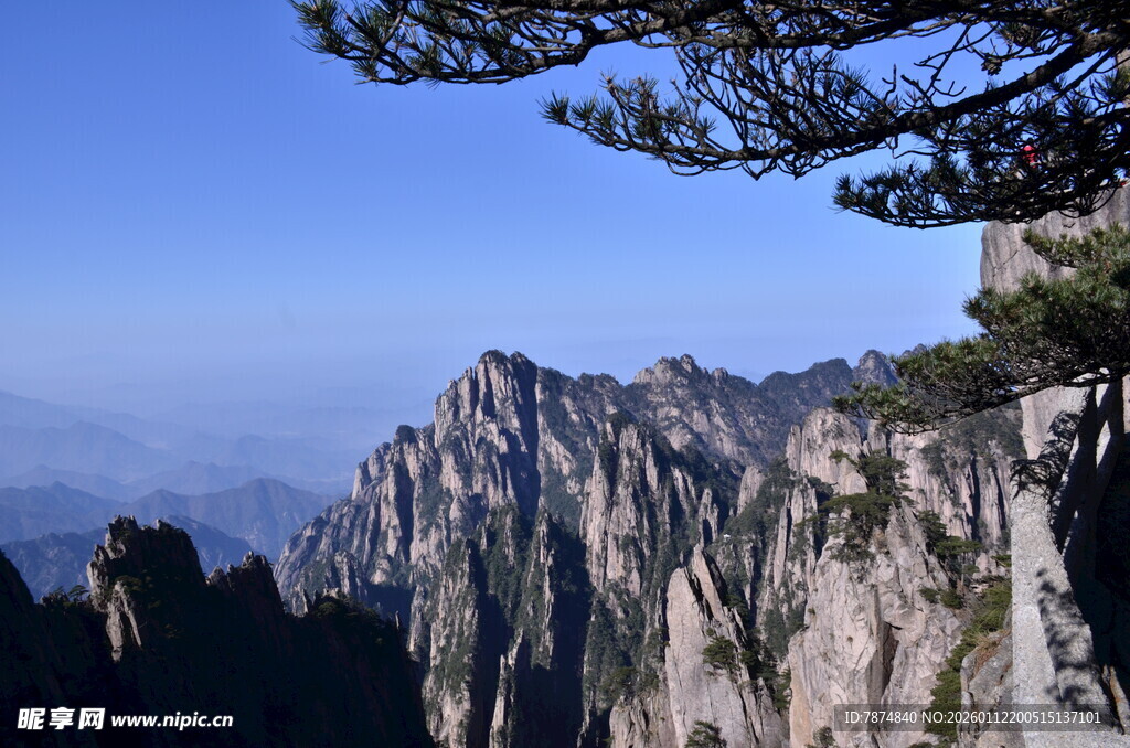 巍峨黄山奇峰 松立峭壁