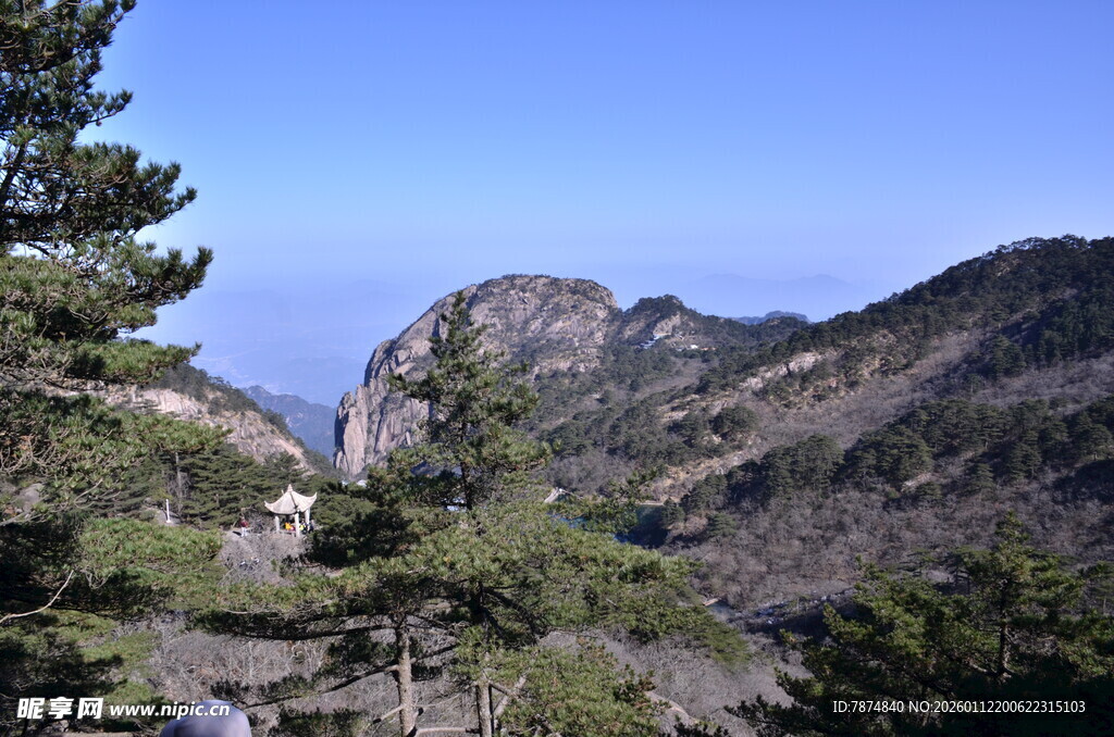 秀丽山景 松与峰的壮美画面
