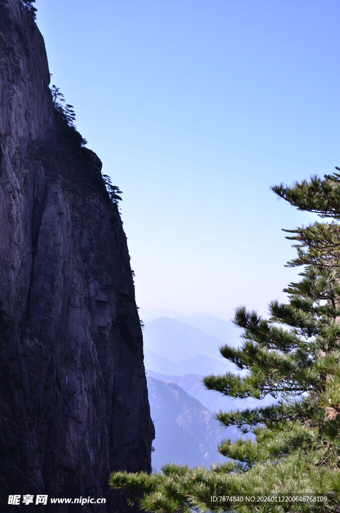 巍峨峭壁旁的翠绿松树