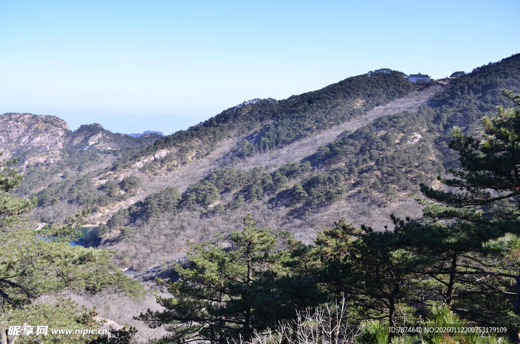 秀丽山峦间的葱郁景致