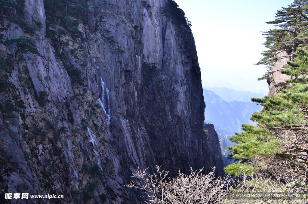 陡峭山壁与葱郁树木景观