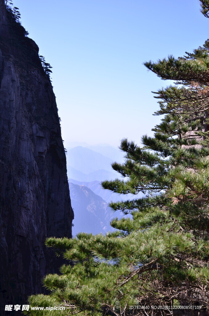 峻峭山峰旁的翠绿松树