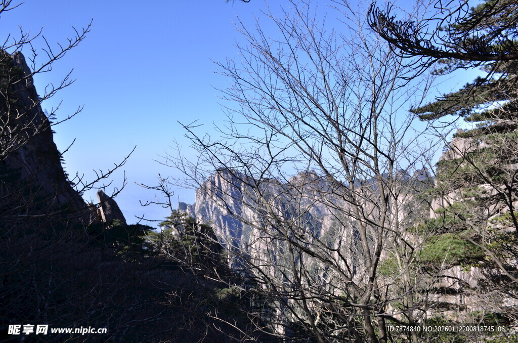 山间景致 枯树与远处山峦