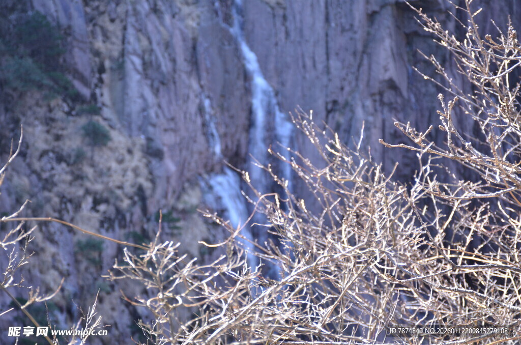 山间枯木旁的瀑布景观
