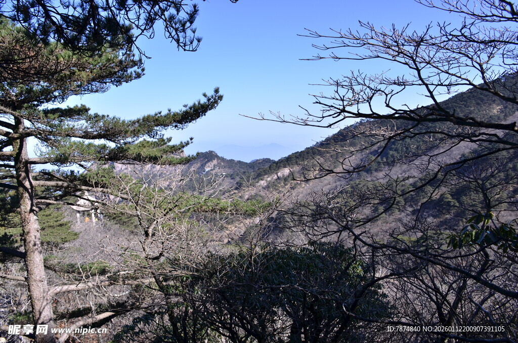 山林景致 蓝天映衬绿意浓