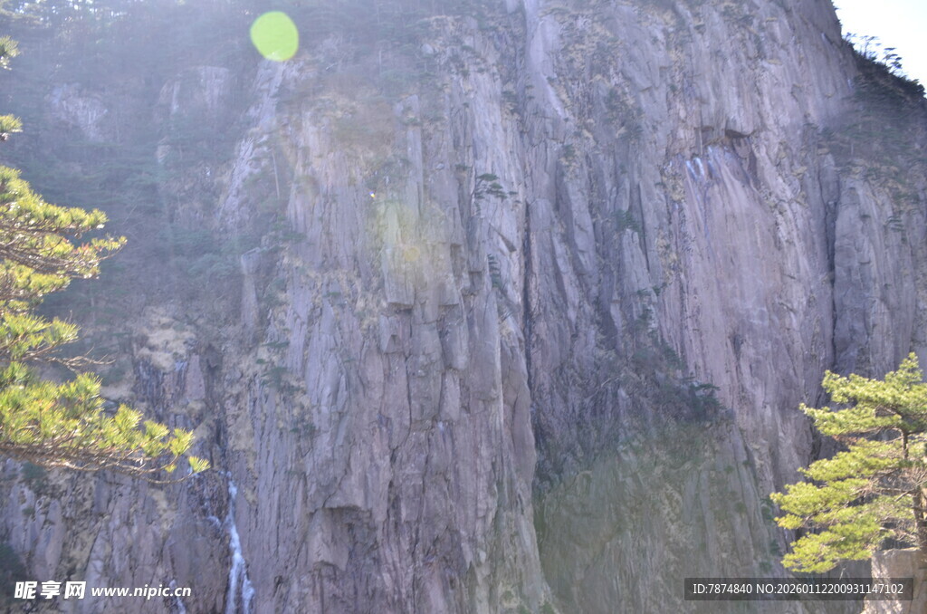 悬崖峭壁间的苍松