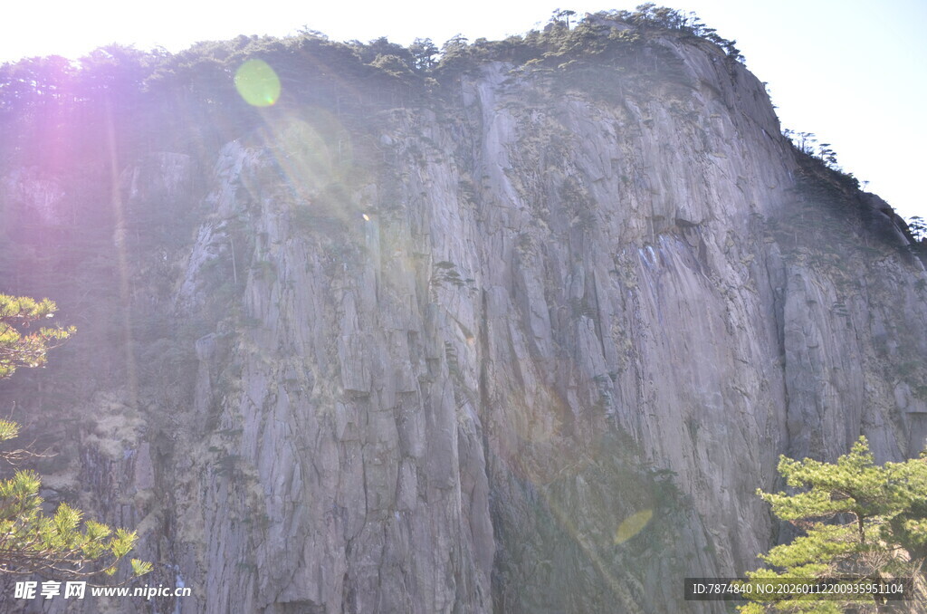 巍峨山峰与葱郁树木景观
