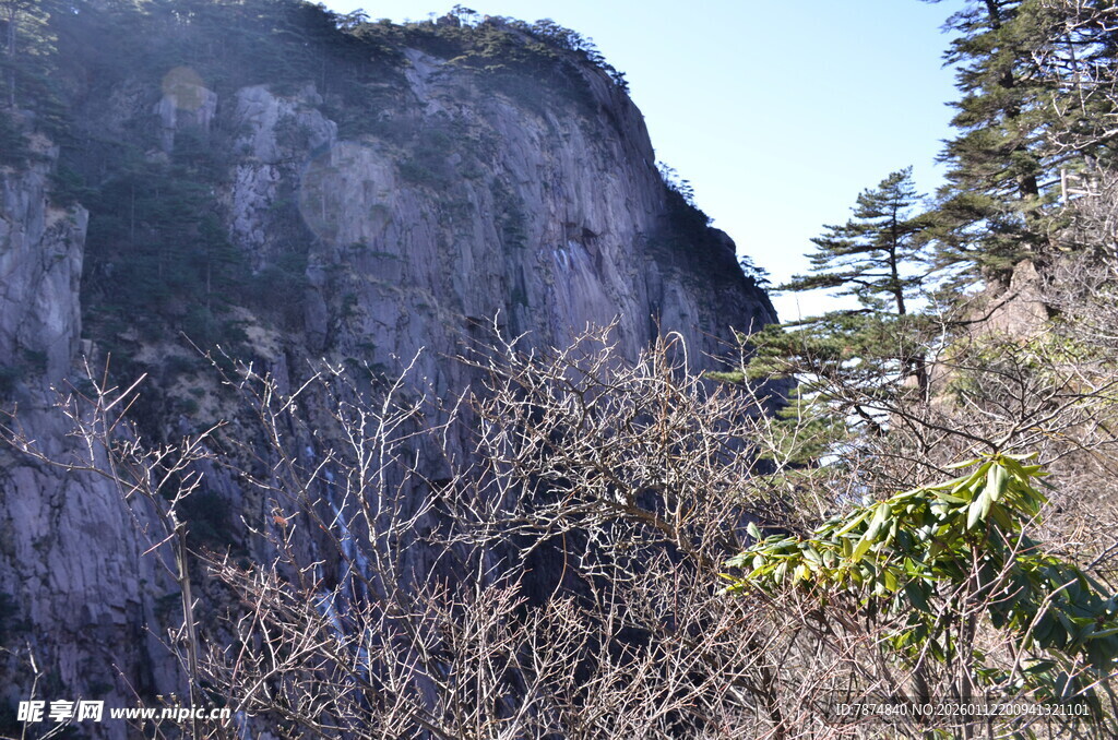山间峭壁旁的稀疏植被