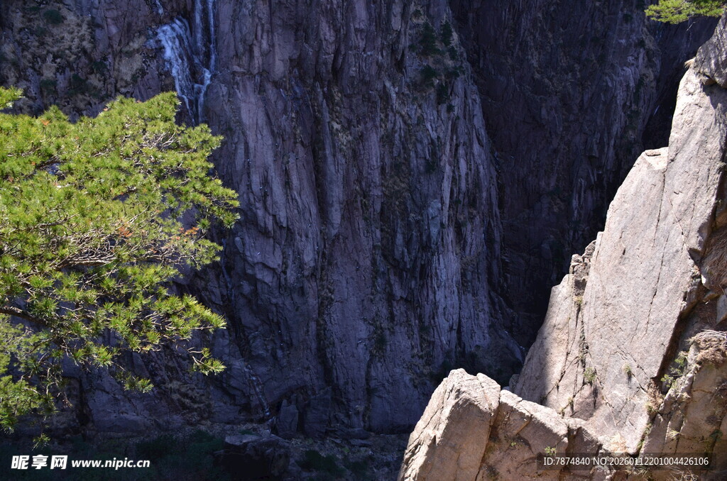 陡峭山崖旁的翠绿树木