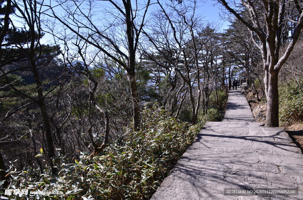 山间幽静石板小径