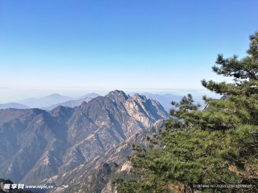 巍峨山峦间的翠绿松树