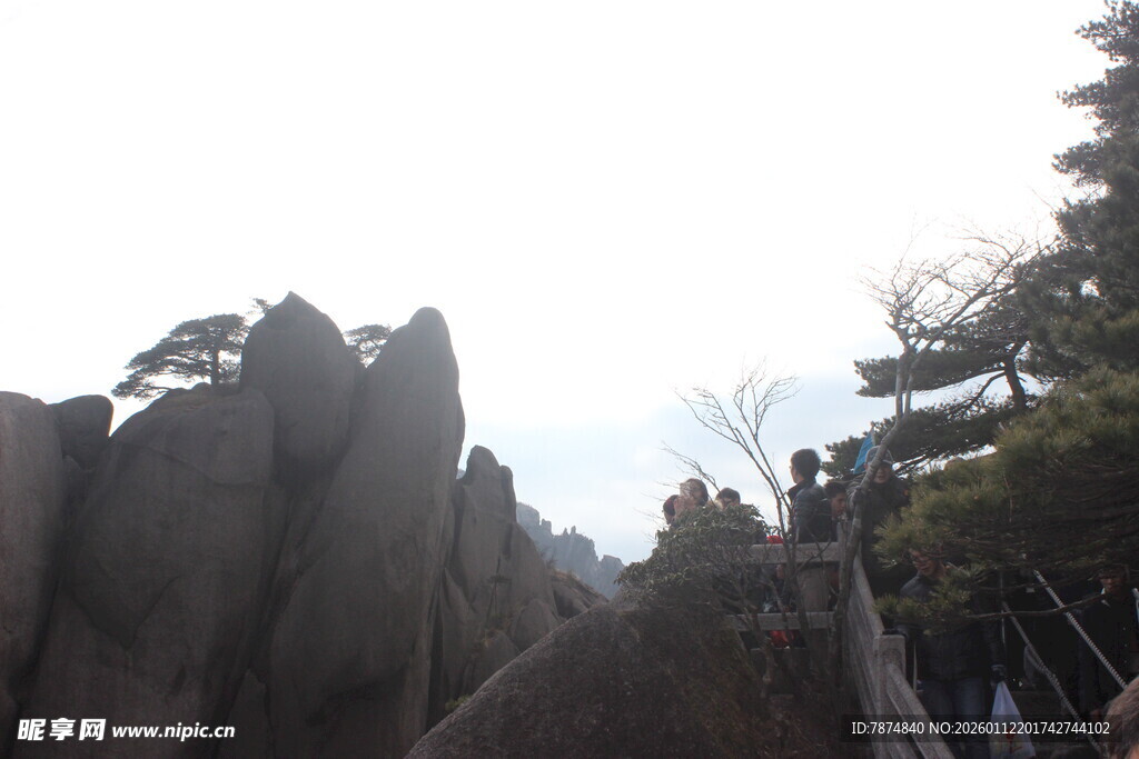 嶙峋山石与葱郁树木景观