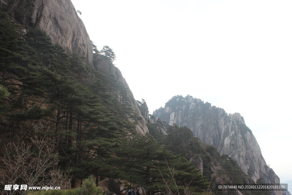 巍峨黄山奇峰与松树景观